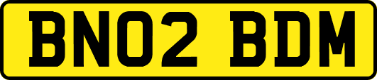 BN02BDM