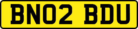 BN02BDU