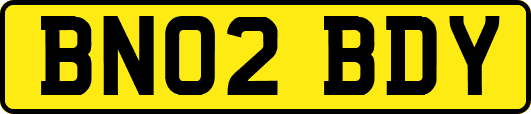 BN02BDY