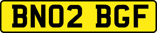 BN02BGF