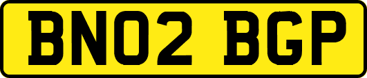 BN02BGP