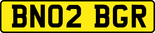 BN02BGR