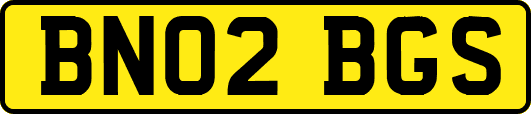 BN02BGS
