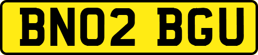 BN02BGU