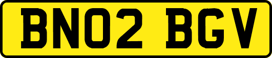 BN02BGV