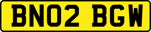 BN02BGW