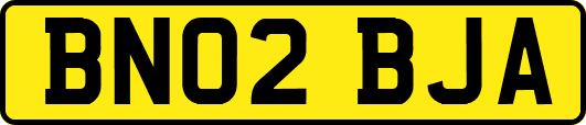 BN02BJA