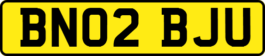 BN02BJU