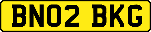 BN02BKG
