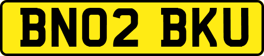 BN02BKU