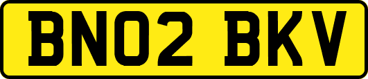 BN02BKV