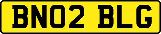 BN02BLG