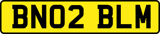 BN02BLM