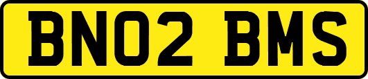 BN02BMS