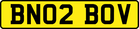 BN02BOV