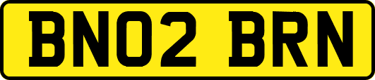 BN02BRN