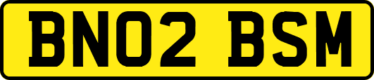 BN02BSM