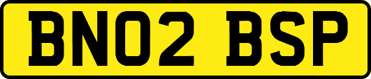 BN02BSP