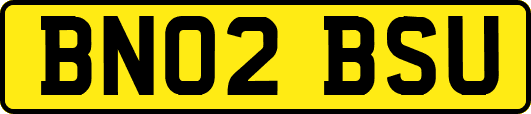 BN02BSU