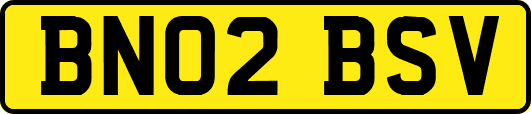 BN02BSV