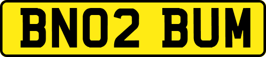 BN02BUM