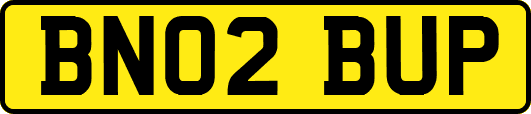BN02BUP