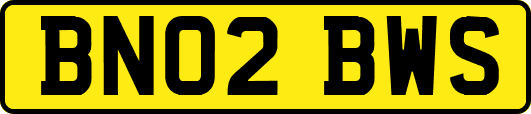 BN02BWS