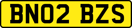 BN02BZS