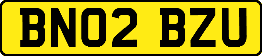BN02BZU