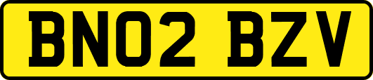 BN02BZV