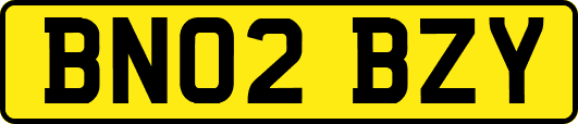 BN02BZY