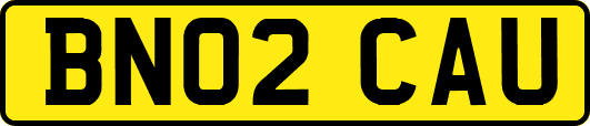 BN02CAU