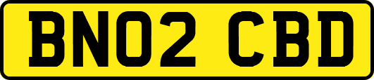 BN02CBD