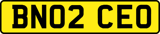 BN02CEO
