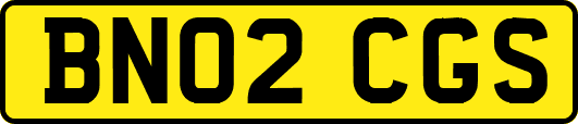 BN02CGS