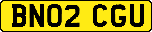 BN02CGU