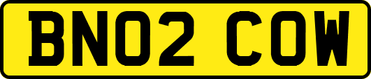 BN02COW