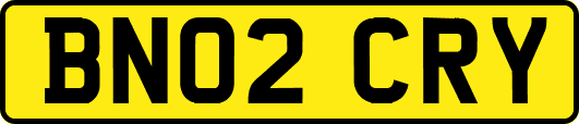 BN02CRY