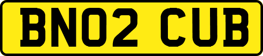BN02CUB