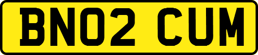 BN02CUM