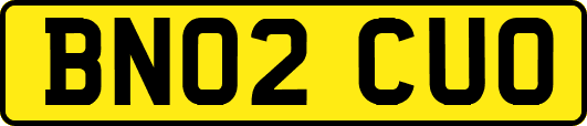BN02CUO