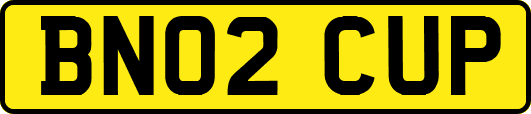BN02CUP