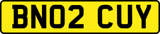 BN02CUY