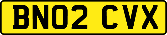BN02CVX