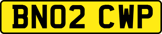 BN02CWP