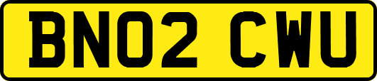 BN02CWU