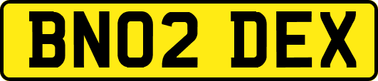 BN02DEX