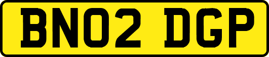 BN02DGP