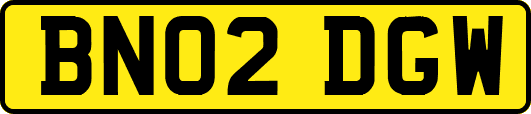 BN02DGW
