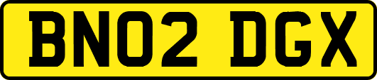 BN02DGX